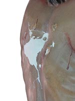 Restauración escultura. Reintegración volumétrica paso2.